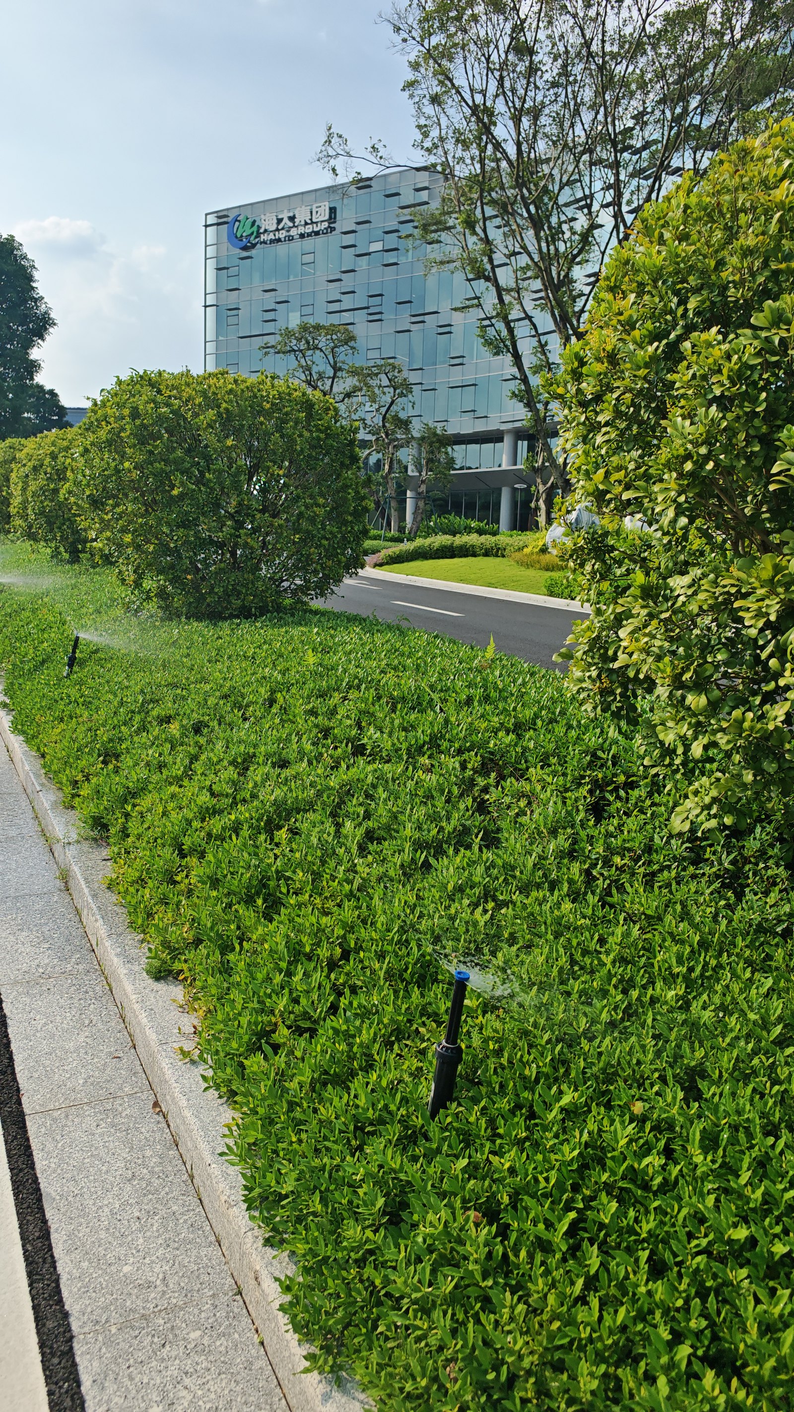 海大科学园道路绿化